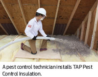 TAP Pest Control Insulation