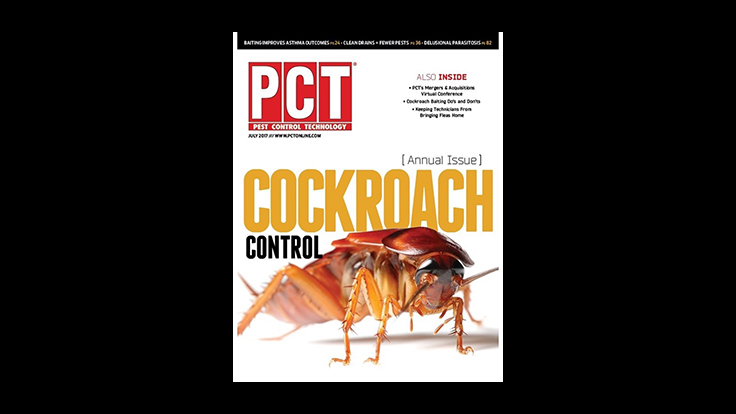 Annual Cockroach Control Issue