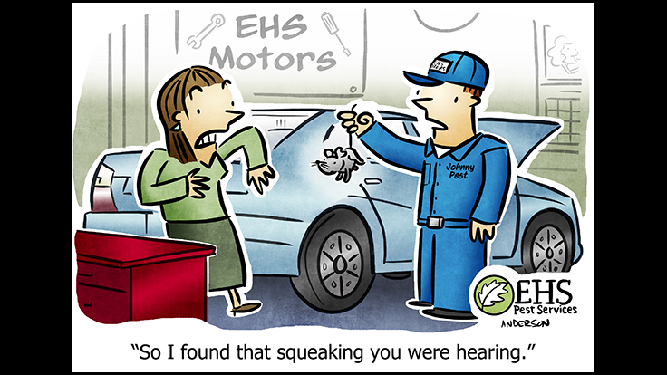 Slideshow: Additional EHS Pest Control Cartoons