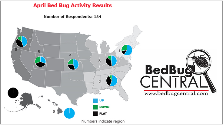 BedBug Central Announces April Survey Results