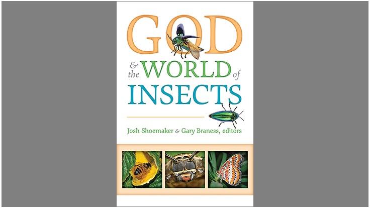 New Book Explores the Purpose of Insects in the World