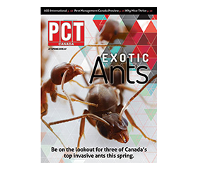 PCT Introduces Redesigned Version of PCT Canada