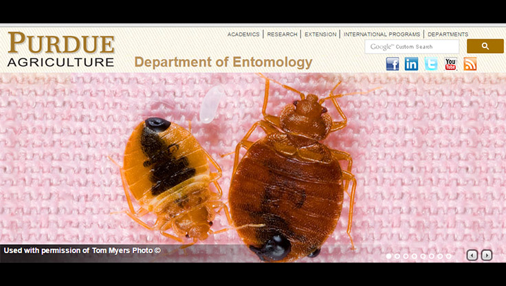 Purdue Entomology's Yaninek to Step Down