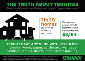 New Terminix Research Highlights Misconceptions About Termites