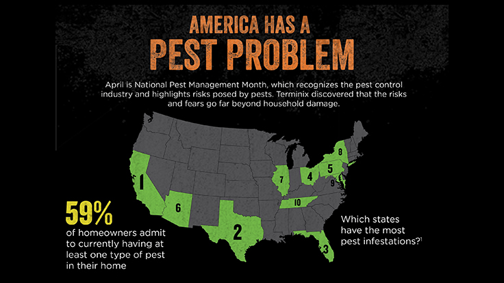 Terminix Survey: Household Pests Scarier Than Zombies