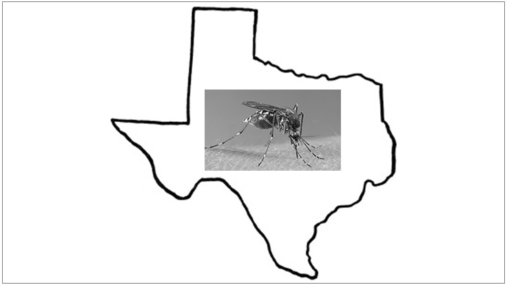 Zika Surfaces in Texas