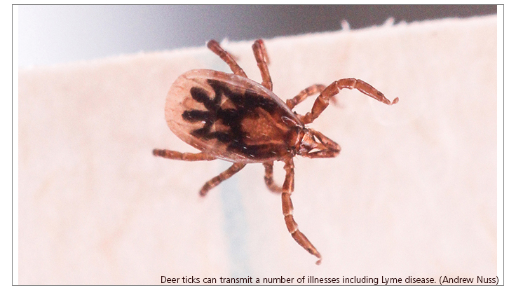Lyme Disease Found in Nine U.S. National Parks