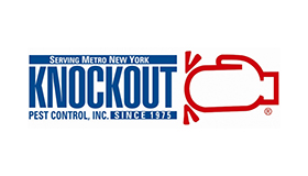 Knockout’s Katz Recognized by Nassau Council of Chambers