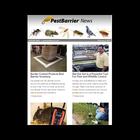 Pest Barrier Launches Pest Bytes E-newsletter
