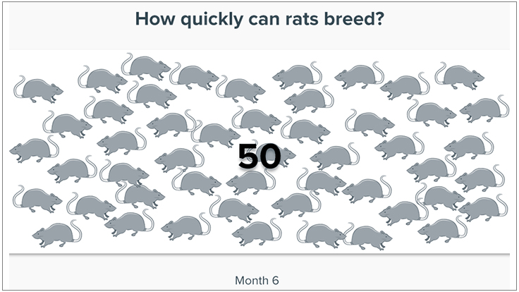 Rentokil Project Tracks How Quickly Rats Breed