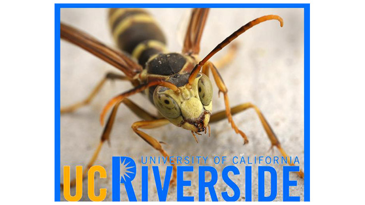 UC-Riverside Announces Annual Urban Pest Management Conference