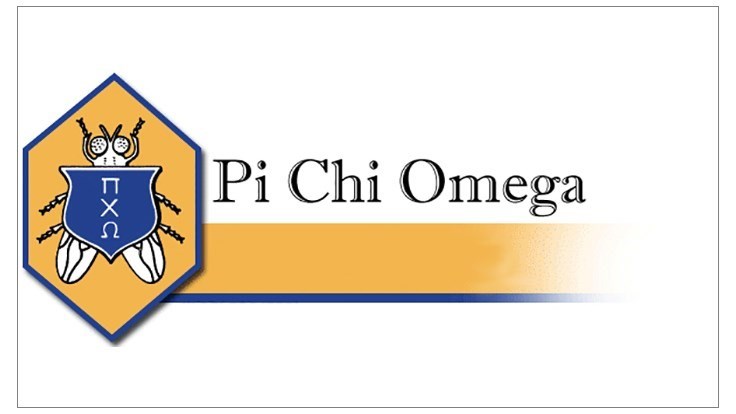 Pi Chi Omega Scholarship Applications Now Being Accepted