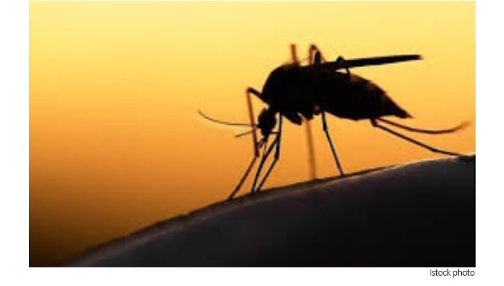 Study Sheds New Light on Climate Change and Mosquito and Tick-Borne Viruses