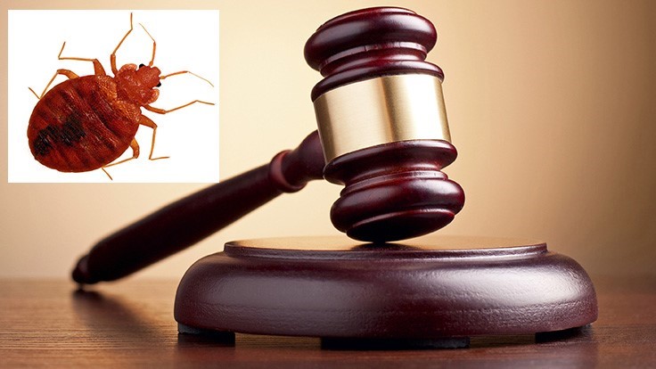 Jury Awards California Family $1.6 Million in Bed Bug Case