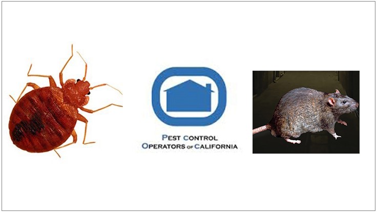 PCOC Survey: Rodent and Bed Bug Infestations on the Rise Throughout California