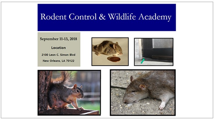 Rodent and Wildlife Academy Set for September in New Orleans
