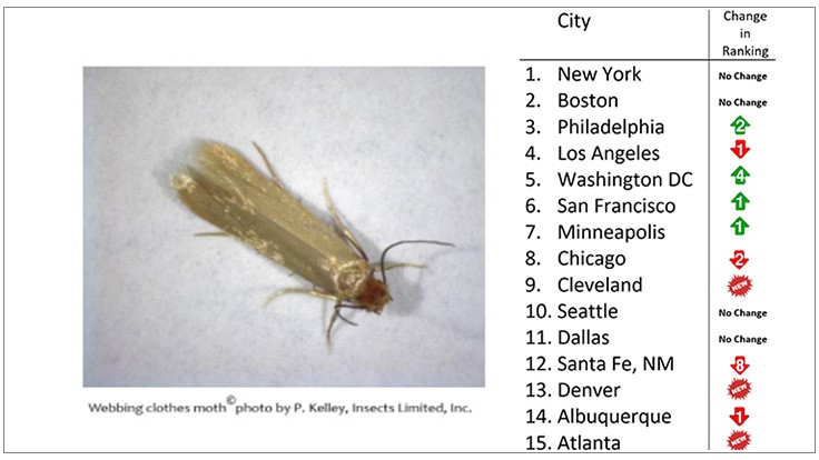 Insects Limited Releases 'Top 15 Clothes Moth Cities' in the U.S. in 2018