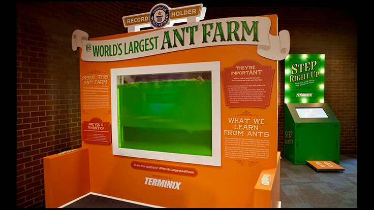 Terminix Service Awarded Guinness World Record for World's Largest Ant Farm