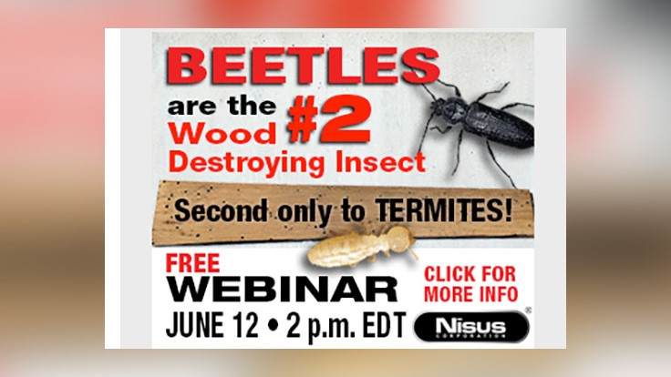 Nisus-Sponsored Webinar on Wood-Boring Beetles is Wednesday