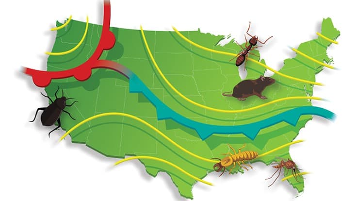 Entomologists From Rentokil North America Make 2021 Pest Predictions
