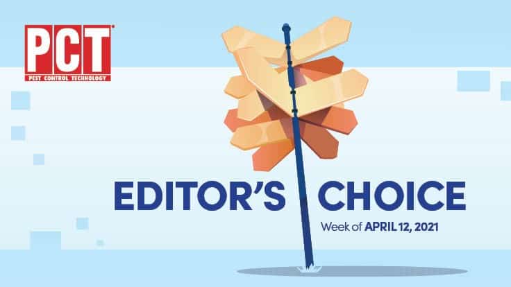 Editor's Choice for the Week of April 12, 2021