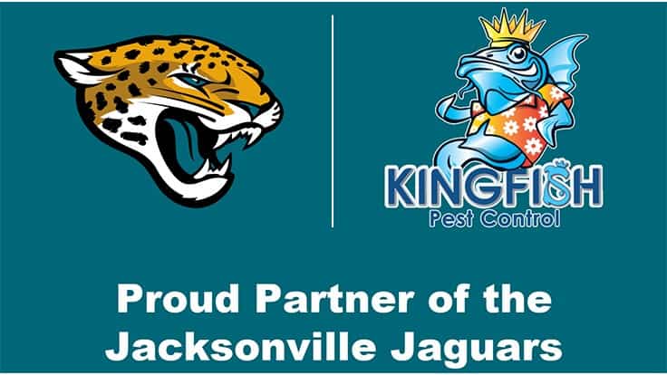 Kingfish Pest Control Partners with NFL's Jaguars