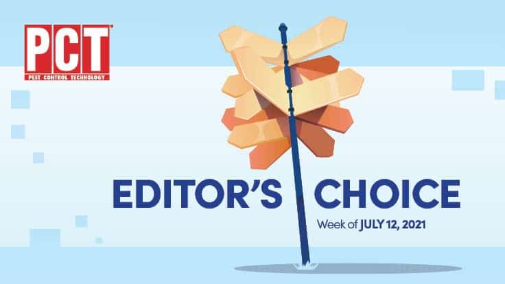 Editor's Choice for the Week of July 12, 2021