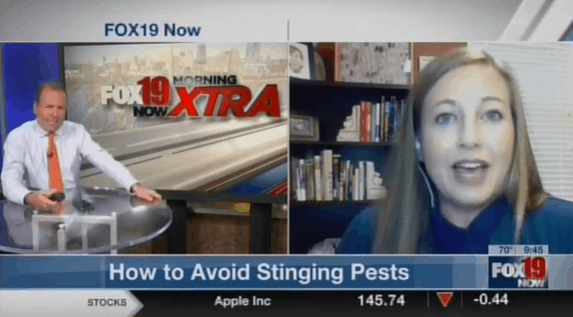 How to Avoid Stinging Pest Activity This Summer