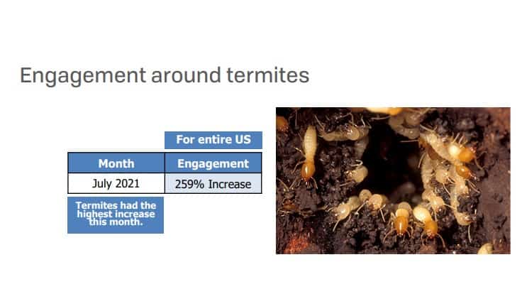 PPMA Research Shows Uptick in Engagement for Termites
