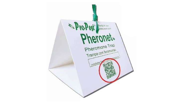Pro-Pest Pheronet Pheromone Trap Has a New Look