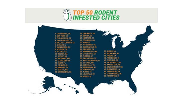 Terminix Reveals Most Rodent-Infested Cities in America