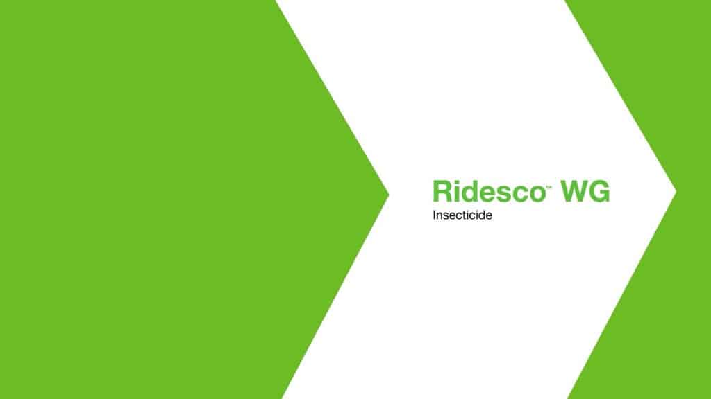 Ridesco WG Insecticide Overview