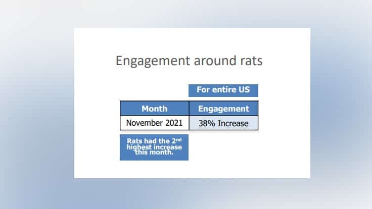 Engagement for Mice Spikes in November, PPMA AI Report Shows