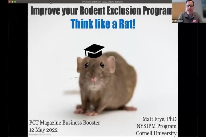 Improve Your Rodent Exclusion Program: Think Like A Rat!