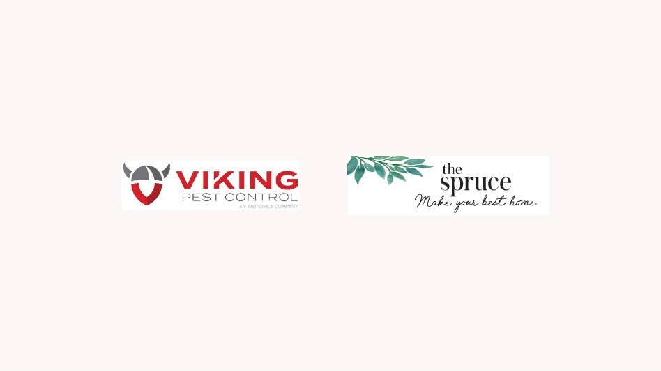 Viking Pest Named Best Pest Control Company For Sustainability