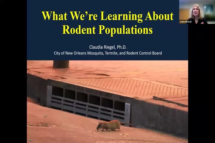 What We’re Learning About Rodent Populations