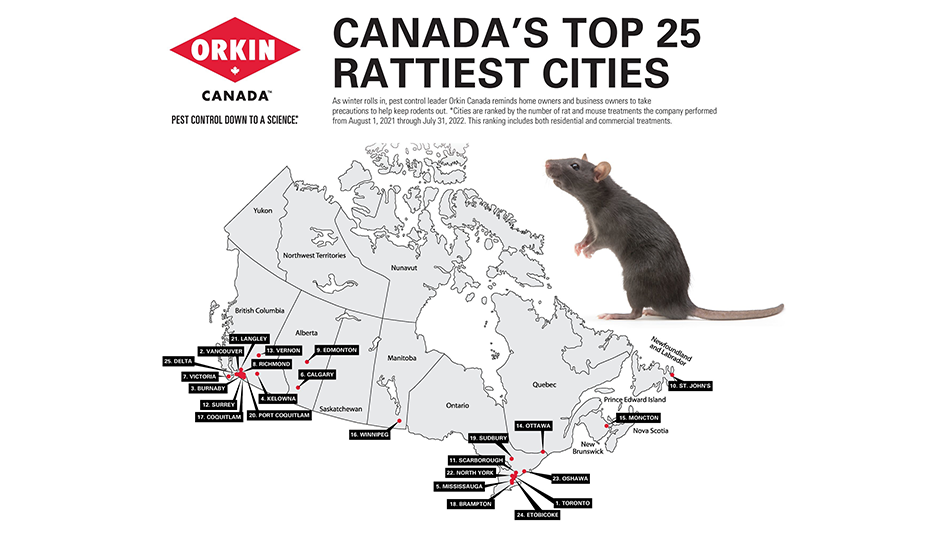 Orkin Names Canada’s Rattiest Cities