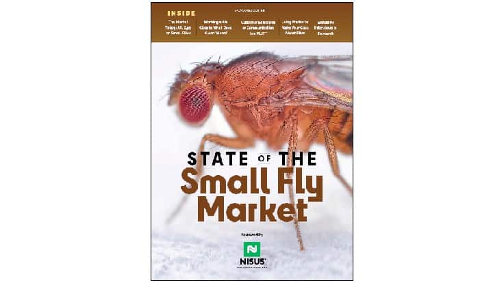 2021 State of the Small Fly Market, Sponsored by Nisus