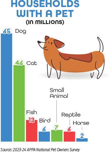 household pet statistic graphic