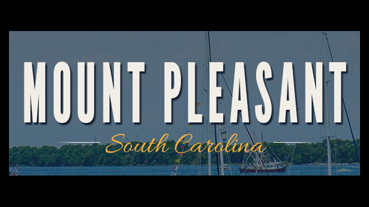 Mount Pleasant Tops Terminix Service's Most Active Termite Locations