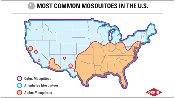 Atlanta Tops Orkin's List of Top Mosquito Cities Pest Control Technology
