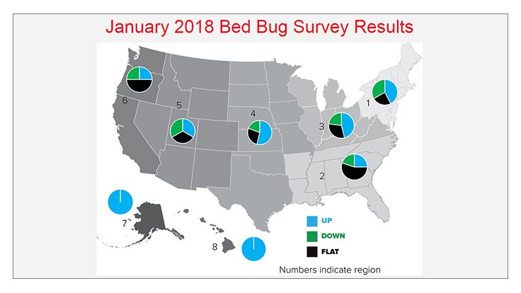 Bed Bug Season May Arrive Early, BedBug Central Reports Pest Control