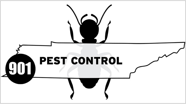 901 Pest Control Expands into North Mississippi Pest Control Technology