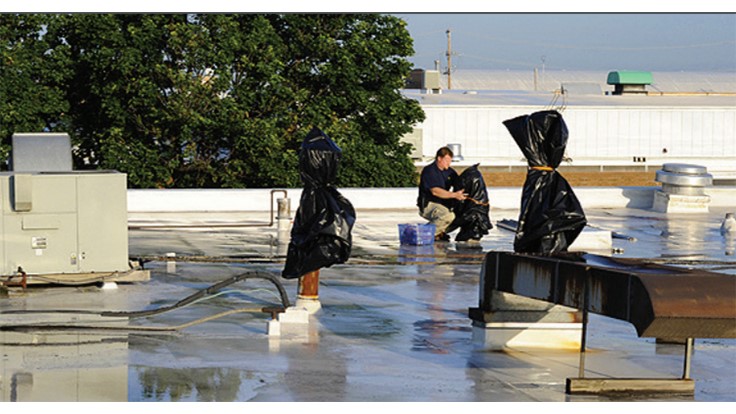 McCloud Services Provides Expertise on Fumigation Practices Pest