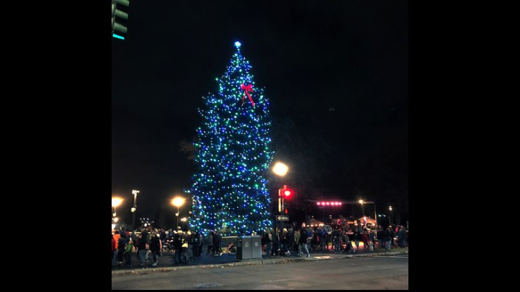 Senske Donates Lights to Giant Spokane Christmas Tree Pest Control Technology