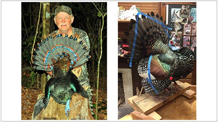 Dennis Judy Captured Turkey Hunting World Slam Pest Control Technology