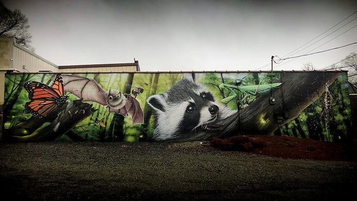 PMi Transforms Greensboro Building with 60Foot Graffiti Mural Pest