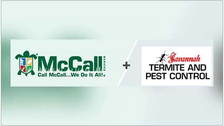 McCall Service Acquires Savannah Termite & Pest Control Pest Control Technology