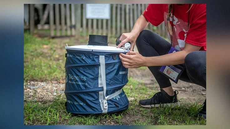 Graduate student Kaitlin Saunders checks a mosquito trap in Baltimore, Maryland. Collected mosquitoes were tested for pathogens that could spread to people.