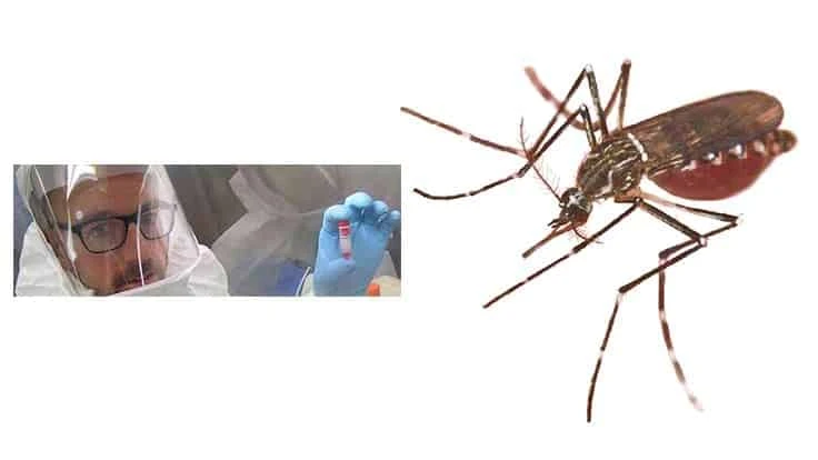  Barry Alto, at the UF/IFAS Florida Medical Entomology Laboratory in Vero Beach, Fla.